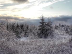 1477371_10202810564125661_1113039602_n