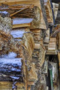 10801585_10205127028715828_2311349907945919335_n