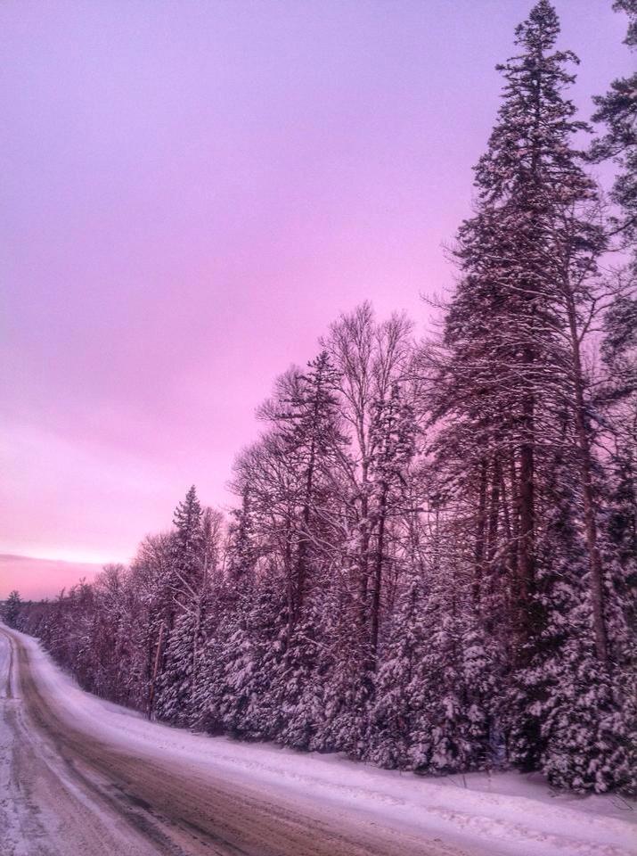 12108799_10207806809308668_5680382409937276276_n